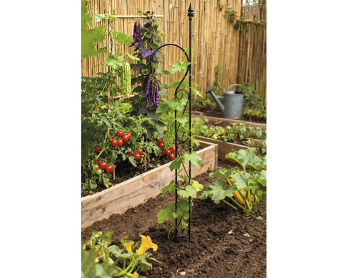 Grönsaksträdgård med spaljé för växter
