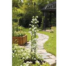 Trädgårdsscen med klätterhjälpmedel, bevuxen med vita blommor, och trädgårdspaviljong i bakgrunden