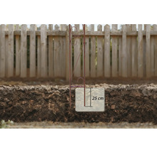 Metallväxtstöd med ett installationsdjup på 25 cm i marken