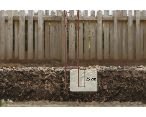 Metallväxtstöd med ett installationsdjup på 25 cm i marken