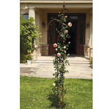 Metallväxtstöd med rosor i trädgården