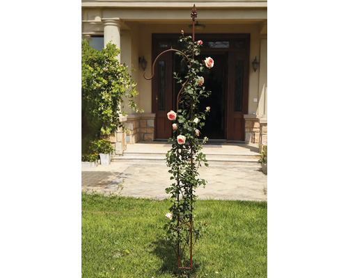 Metallväxtstöd med rosor i trädgården