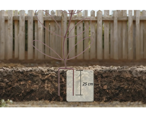 Illustration av ett planterat träd med en rotbarriär på 25 centimeters djup