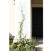 Blomlåda med spaljé framför en husentré
