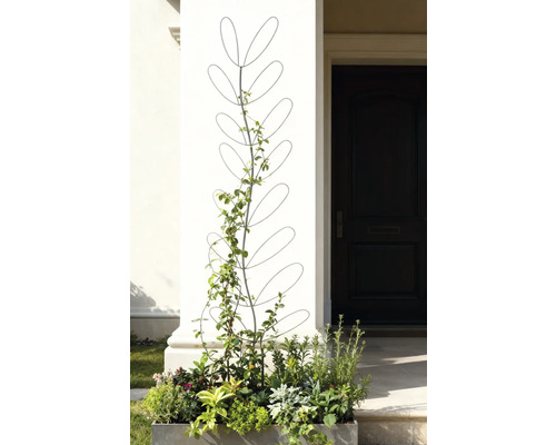 Blomlåda med spaljé framför en husentré