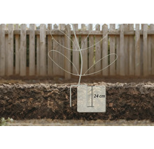Illustration av ett växtskydd med en höjd av 24 centimeter i marken framför ett trästaket