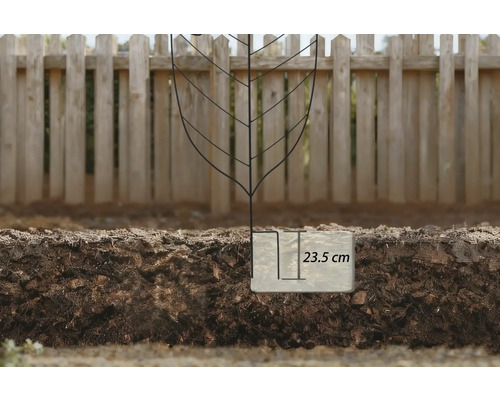 Planteringshål med ett djup på 23,5 centimeter i trädgårdsjorden