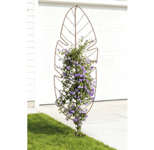 Klätterstöd i bladform med blommande klätterväxt i trädgården.
