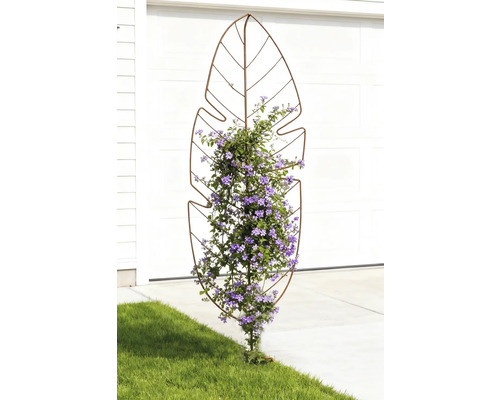 Klätterstöd i bladform med blommande klätterväxt i trädgården.