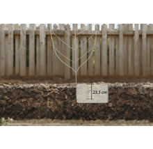 En planteringsram står i trädgårdsjorden, planteringsdjupet är 23,5 centimeter.