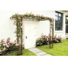 Entré med rosenbåge och blommande rosbuskar