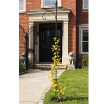 Blomsterstöd med gula blommor framför ett hus