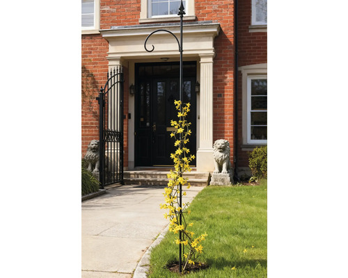 Blomsterstöd med gula blommor framför ett hus