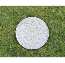 Rund trampsten av sten på gräsmatta