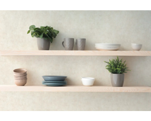 Hylla med porslin, muggar och växter