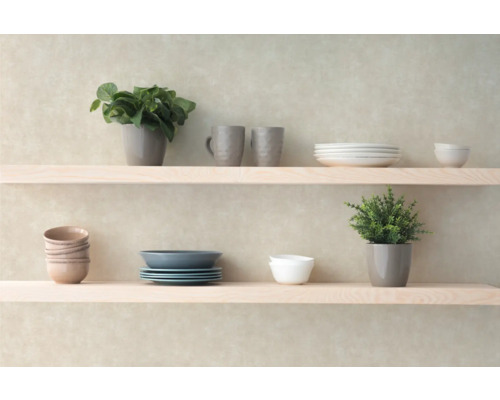 Hyllor med porslin, muggar och krukväxter