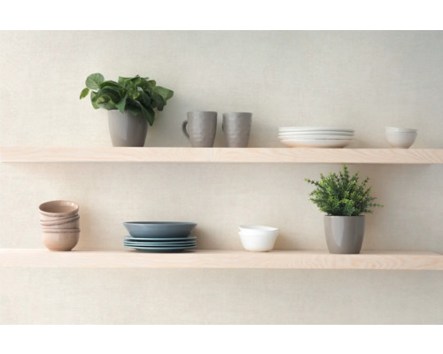 Hyllor med porslin och växter