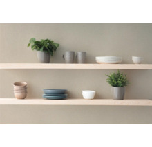 Hylla med porslin och växter