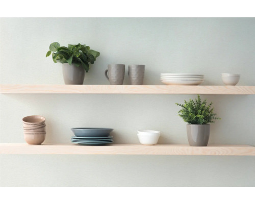 Hylla med porslin, muggar och krukväxter