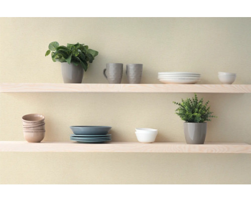 Dekorativ hylla med porslin och växter