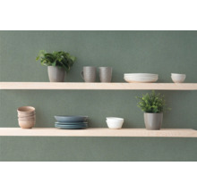 Hyllor på väggen med porslin och krukväxter