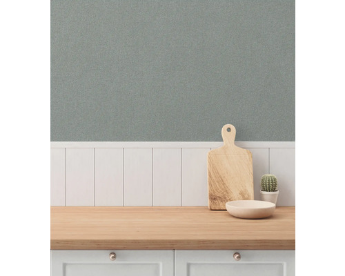 Köksscen med bänkskiva, skärbräda, skål, kaktus och väggbeklädnad