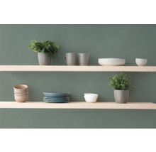 Hyllor med porslin och växter