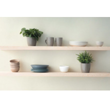 Två hyllor med porslin och växter.