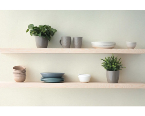 Två hyllor med porslin och växter.