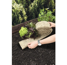 Grönsaksträdgård med salladsplantor och en rulle växtmatta av naturfiber på marken.