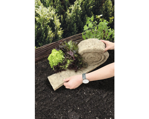 Grönsaksträdgård med salladsplantor och en rulle växtmatta av naturfiber på marken.