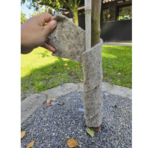 Trädskydd av filt lindad runt ett träd