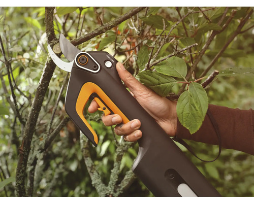 Batteridriven grensax klipper en gren