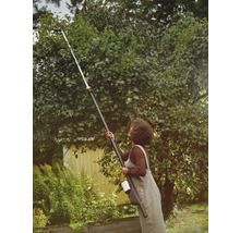 Kvinna använder en grensax för att beskära ett träd.