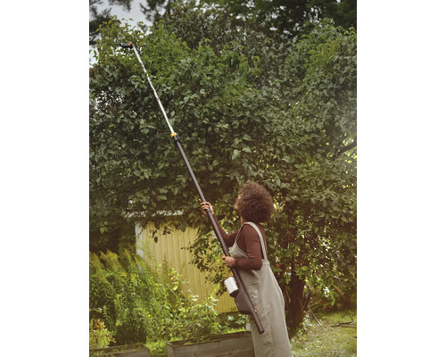 Kvinna använder en grensax för att beskära ett träd.