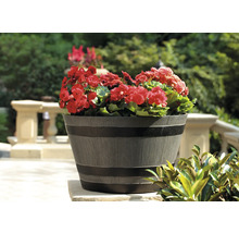 Blomkruka med röda begonier på en terrass