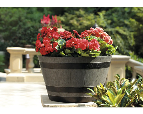 Blomkruka med röda begonier på en terrass