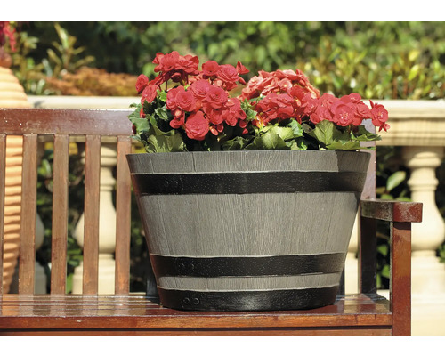 Blomkruka med röda begonier på en träbänk