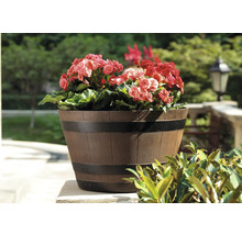 Blomkruka i tunutseende med blommor