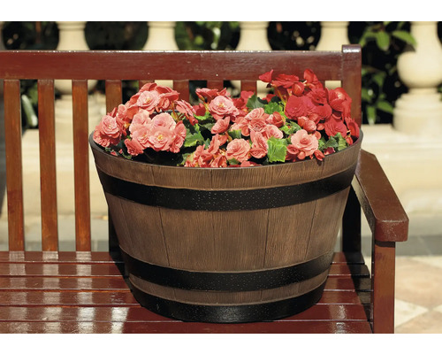 Blomkruka i trädesign med begonior på en träbänk