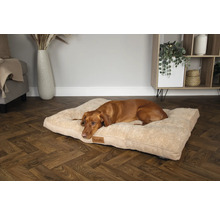 En brun hund ligger på en beige hundbädd i vardagsrummet.