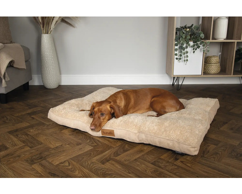 En brun hund ligger på en beige hundbädd i vardagsrummet.