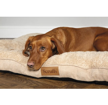 Hund ligger på en hundsäng med Scruffs logotyp