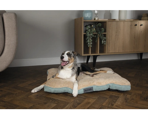 Avslappnad hund på en beige hundbädd från Scruffs i ett vardagsrum.