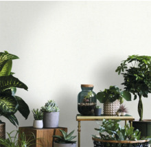 Dekorativ atmosfär med olika krukväxter på ett bord och träkuber