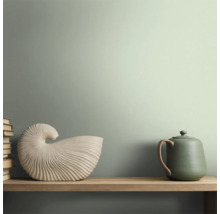 Dekorativt stilleben med böcker, snäckskal och keramisk kanna på en hylla.