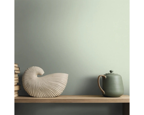 Dekorativt stilleben med böcker, snäckskal och keramisk kanna på en hylla.