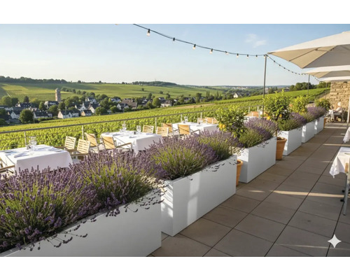 Terrass med bord, stolar, parasoll och planteringar med lavendel