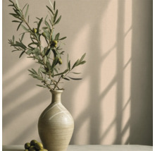 Dekorativ vas med olivkvist och oliver på en yta