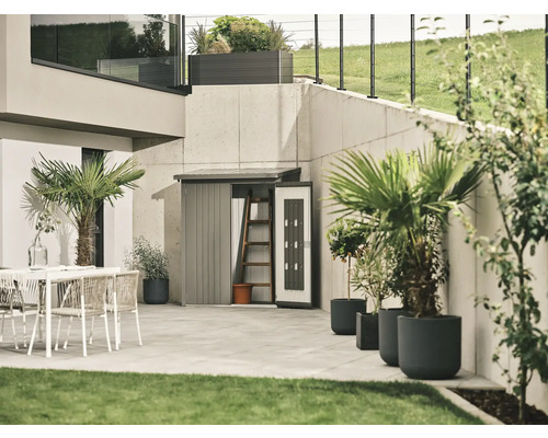 Trädgårdsscen med redskapsbod, utemöbler och växter